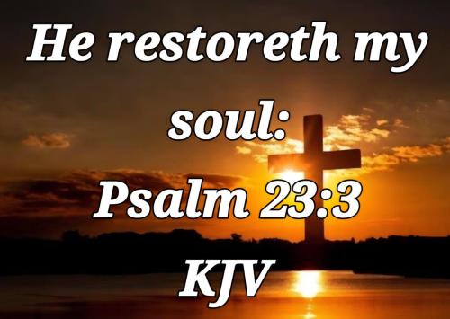 d88a1d43-0f3a-478a-bcdd-568d702e1069