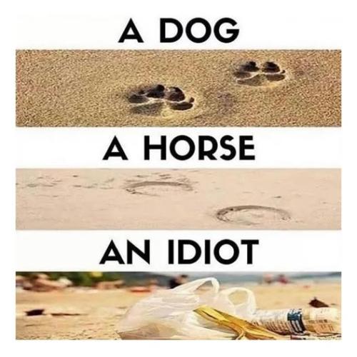 522614195_18521829259005995_3148108591393031397_n