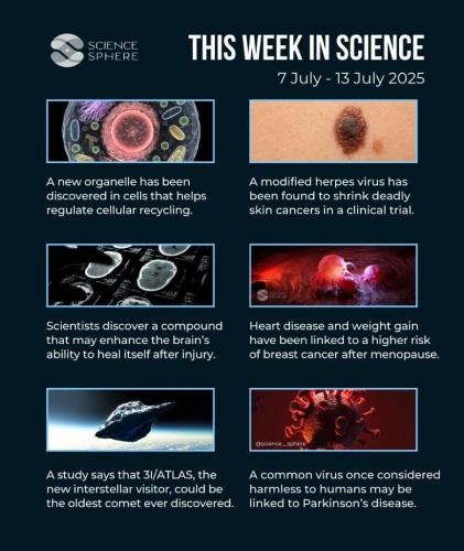 b40796ab-5ce4-4b2c-b2a7-ee7a17032b90