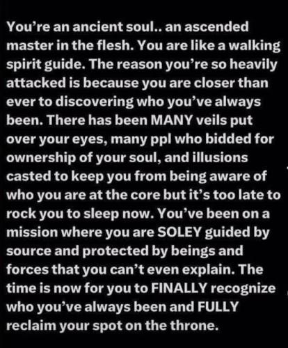 514040078_736172115965650_7557900194397212000_n