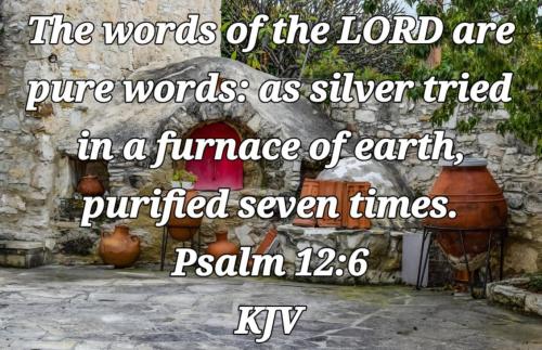 89156cd8-1b21-4353-8409-9e2aa4c233ee