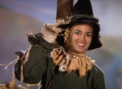 if i onlyhad a brain