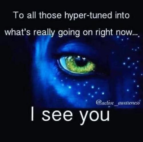 513878885_734105366172325_1568049332748103521_n