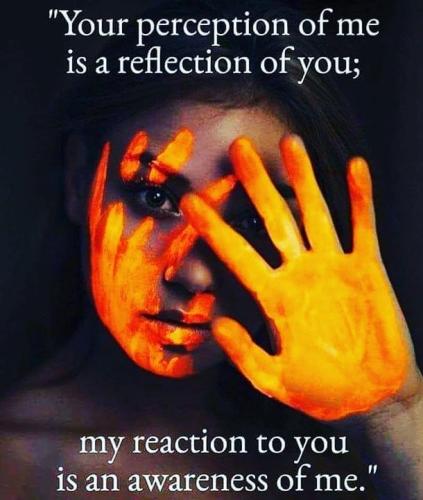 cf8780b57172f6f1dddf0f5df2f74510