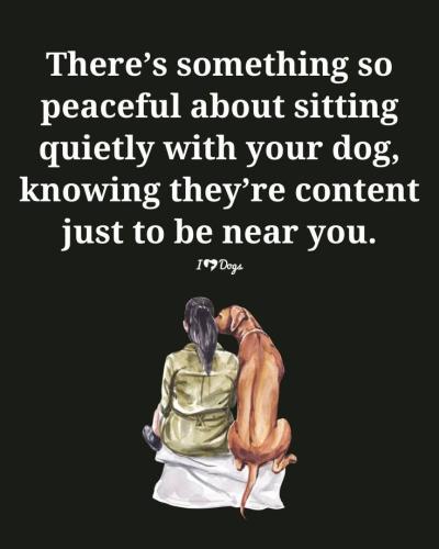 9ec05a692f22678260e27e23c9ac3a0a