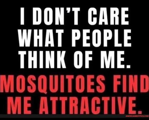 IMG_20250712_141234_909