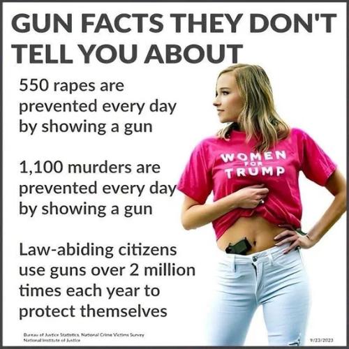 Gun facts they don't tell you about