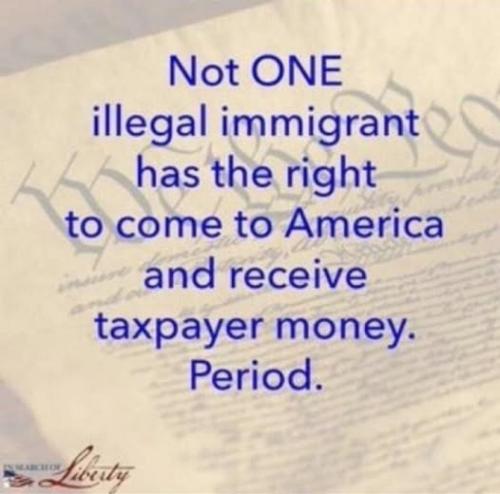 518284460_1049084700743079_8215175042482449690_n