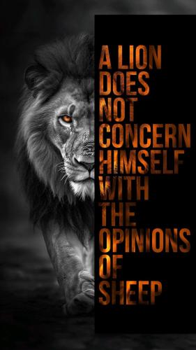 60a852626d09ac865d9635ab28b5ab5e