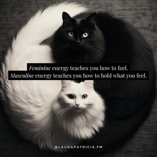 1096f40e11fe3101b6d8d0a1fe6a8a47