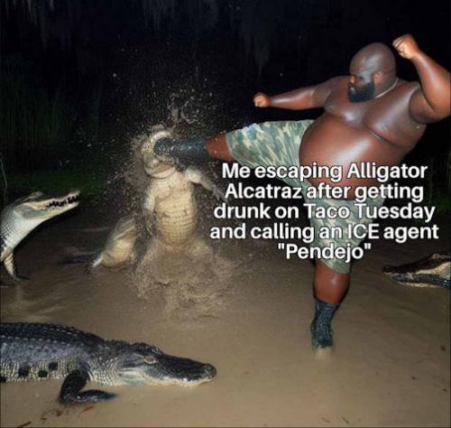 allagator alcatraz05