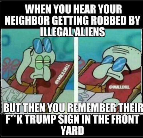 illegals robbing neighbor