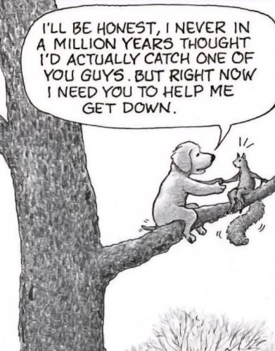 Resized_FB_IMG_1751906610906