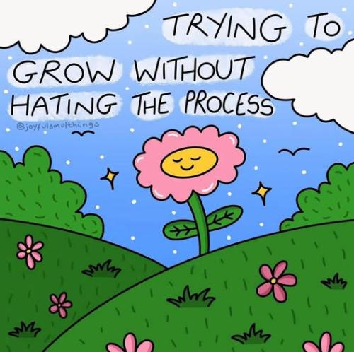 516391212_1290560683073749_5978340944018155003_n