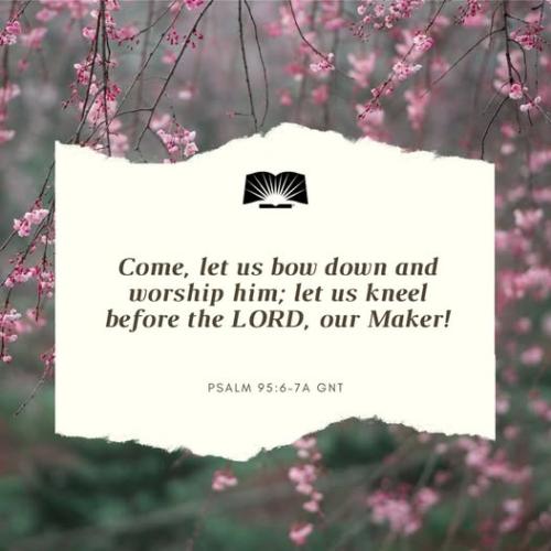 504003939_1354351920034653_502532182671500453_n