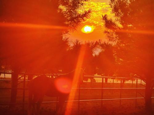 E8965A08-C7D7-4C98-8BCE-6A195BA3866D