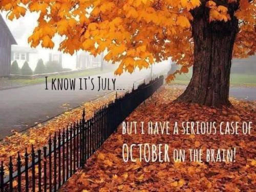 FB_IMG_1625166114469