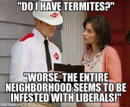 termites