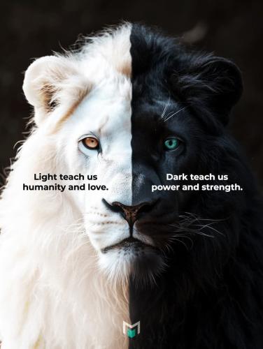 db2d29f2456d1169769a128af6bb6356