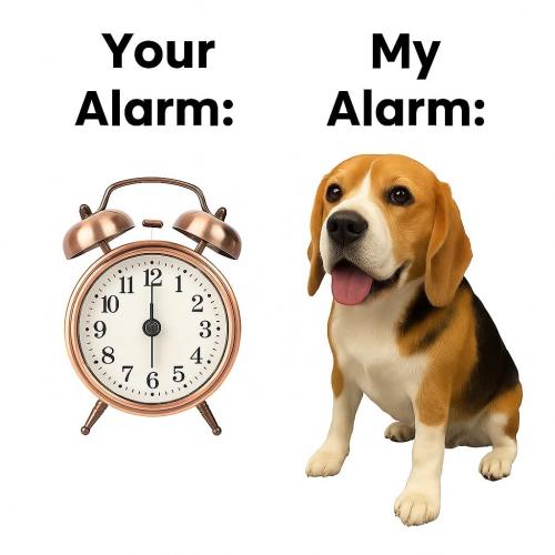 FB_IMG_1747598255232