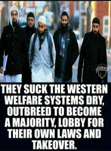 25872e41cd34dfa27a0290f20da8d177c29c2faa2d13331a0bb6a7f576499a1a_1