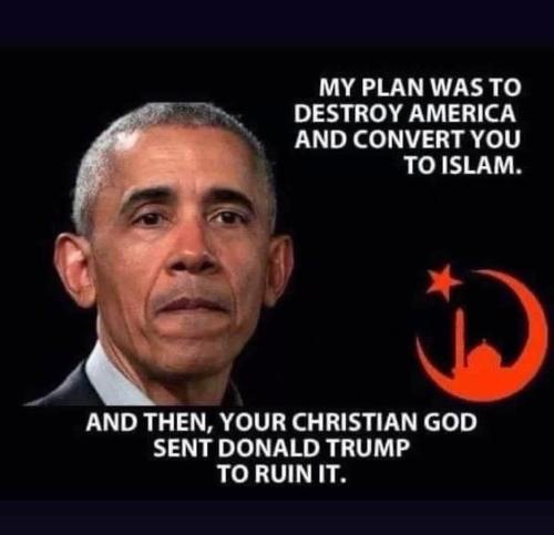 Tumblr_l_1061146848257647