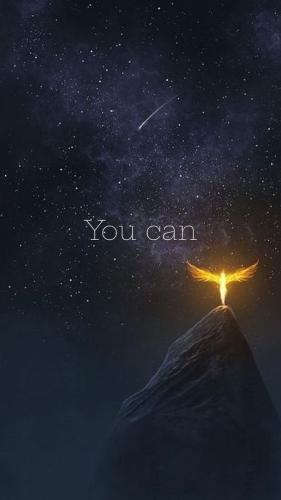 4d8d540027c9a3c94de415c50a36a5fc