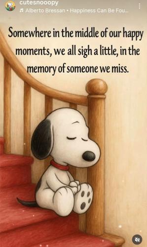 25028429763f841c4b8ad245a9cc7261