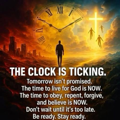 bc4dddb4c492c475f36d9da257849403