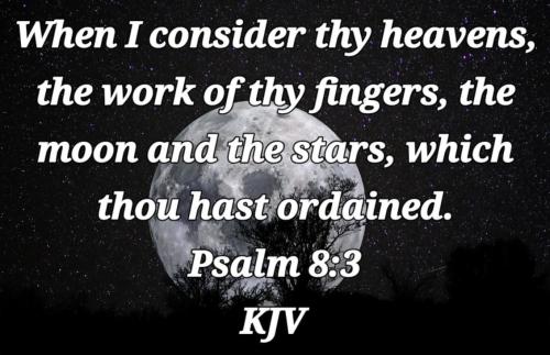 76233462-328e-4777-971b-6be675f8d1d2