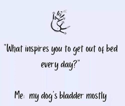 c7248981b658800350f102375df5bcca