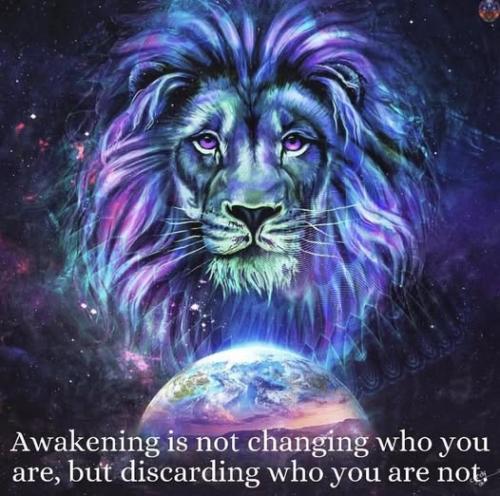 520804578_122220199034088259_4327635748631611572_n