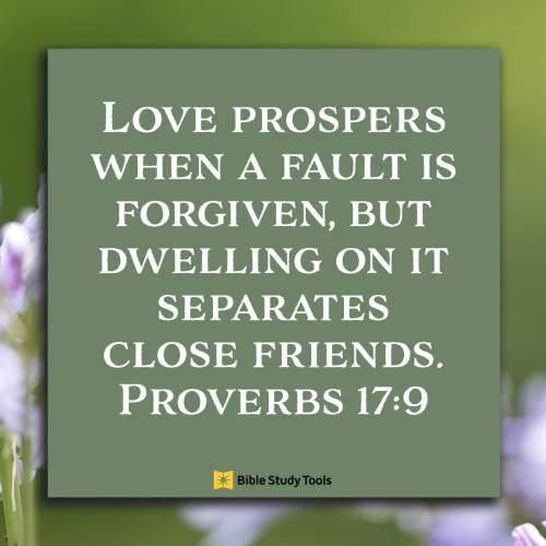 21289-proverbs-17-9-sqjpeg