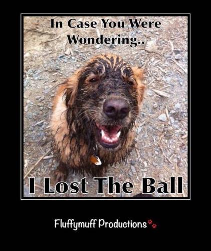 75cadbfc871fa7b5259062e4f5334c67