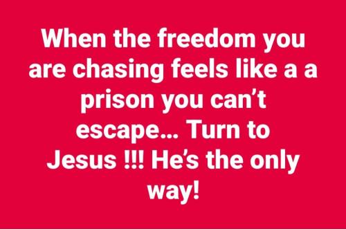 16ba1648-a0c7-408a-813d-c35ee79afe29