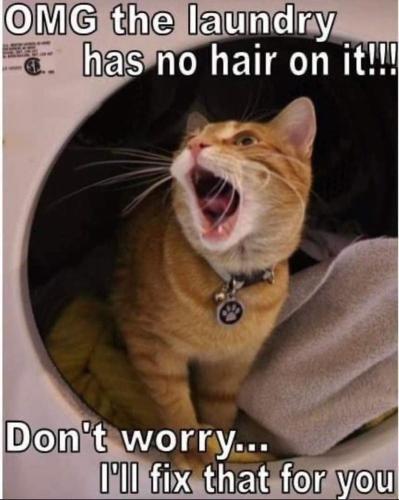 omg-laundry-has-no-hair-on-dont-worry-fix