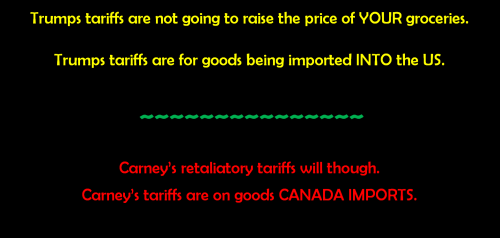 trumps tariffs