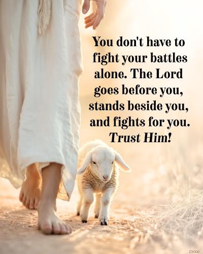 514403010_122243096456201707_8224133926306455449_n