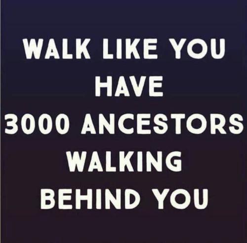 a28a88abdaf69a65789e105ba0d77c85