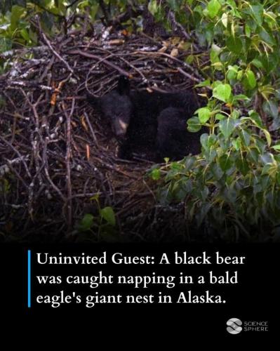 a1610e87-8399-4fd1-b8df-1fea37e2d26f