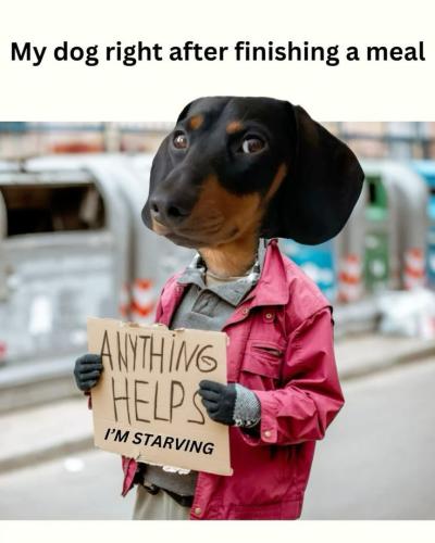 0743253a419a4ad15e88ed9a5e2c0e9a