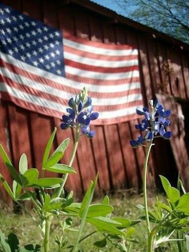 73e2c0dfce227e338a0d1703096ed69f