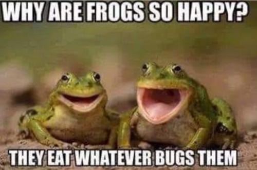 Screenshot_20250712_063041_Gallery