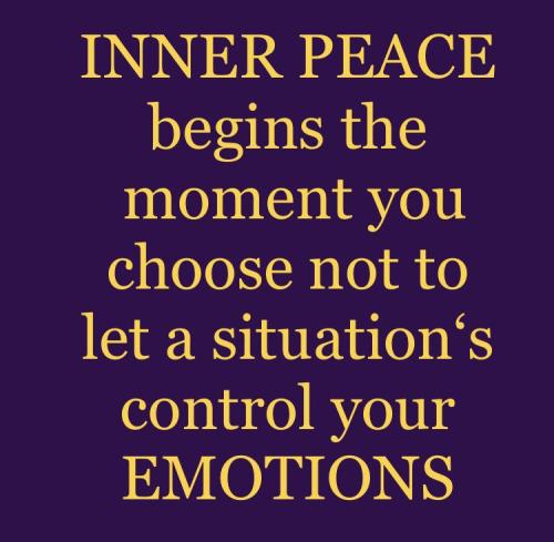 431ea8c182efc2ec30be330001475093