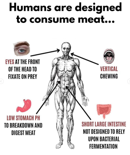 Screenshot 2025-07-20 075842