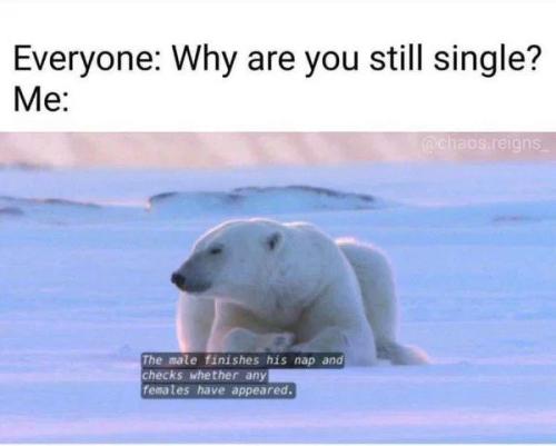 why are you still single