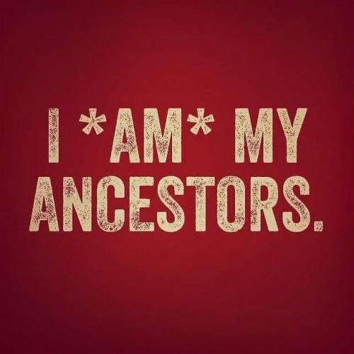 9d3d46df395c86a82e4934577850ce9d