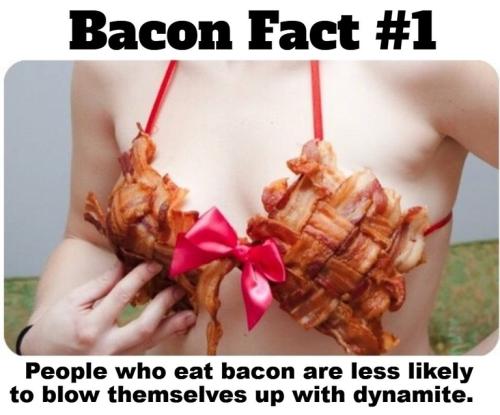 Bacon Bra.768px