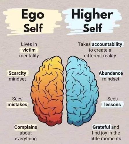 1ff05c899039ee49b68b181ffe4121f8