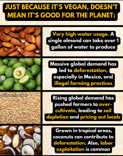 Screenshot 2025-07-31 115025